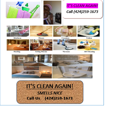 Cleaning is my business @ $30/Hr. ~ 3 Hrs. Min. Unorganized or Just Messy! Both needs The Clean Up Lady!