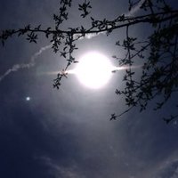 51rt8 (@51rt8) 's Twitter Profile