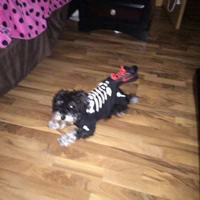 michael323125's profile picture. 