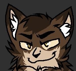 Muddypaws112's profile picture. [R.I.P. Muddy the cat] I will defend my clan with honor, bravery, and I will sacrifice for who I love, and my whole clan. #MultiverseRP #WarriorCats