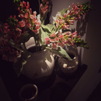 وردهـ (@alwatren) Twitter profile photo
