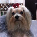 辰 (@0320River) Twitter