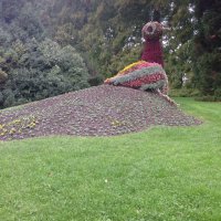 د/ راوية شحاتة (@sherawi) Twitter profile photo