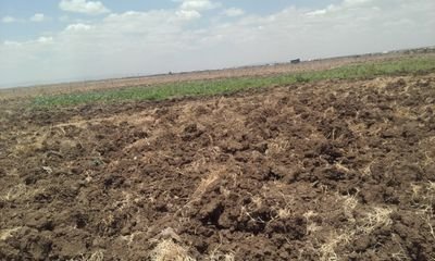 AbassMo31776891's profile picture. 