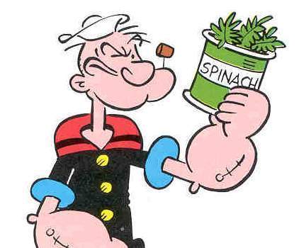 eatyerspinach's profile picture. Eat Yer Spinach
