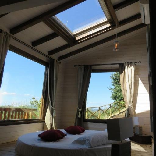 Cantico_Natura's profile picture. 