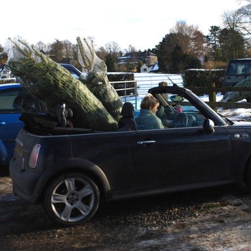 Brookleigh Farm family business supplies Christmas trees to Menston, Burley in Wharfedale, Ben-Rhydding, Ilkley, Guiseley.... A great festive family experience.