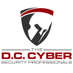 The DC Cybersecurity Professionals Profile Image