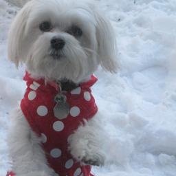 emcauli253's profile picture. 