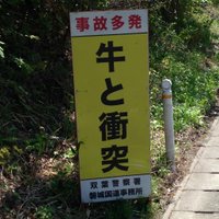 コェル (@koleru) 's Twitter Profile Photo