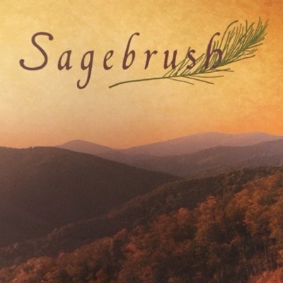 Located in Northern Virginia outside Washington, DC, Sagebrush is a holistic residential substance abuse treatment center. Reach us at 888-618-4649