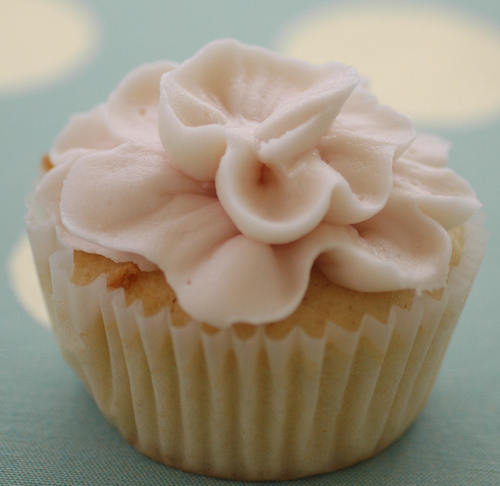 thecupcakerie's profile picture. Born from a love of creative cooking and design, The Cupcakerie is quickly becoming New England’s source for gourmet cupcakes and cakes for weddings and events.