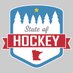 State of Hockey (@mystateofhockey) Twitter profile photo