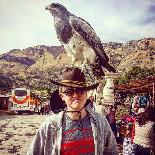 RonyT's profile picture. guldering into the void