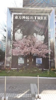 東方神起 ユノとチャンミン と ディズニーが癒し(*’ー’*)ノ
SHINee好き💕
ネコちゃんLOVE