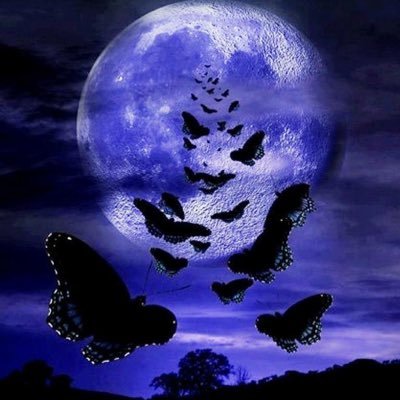 EveTorr75757947's profile picture. 