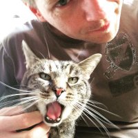 der mit dem (@__wft__) 's Twitter Profile