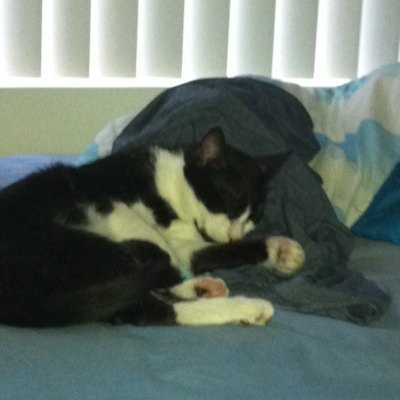 hpgmbonzai's profile picture. 