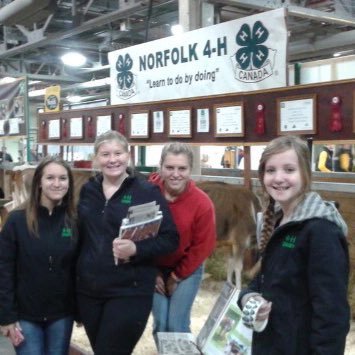 Welcome to the page of the Norfolk 4-H Dairy Team