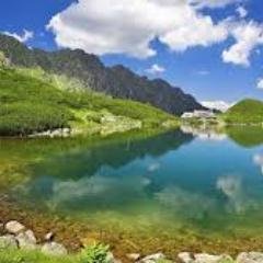 Rachid7210's profile picture. 