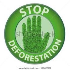 Deforestation88's profile picture. Deforestation is seen as removal of forests leading to several imbalances ecologically and environmentally and results in declines in habitat and biodiversity.