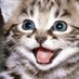 Cat Trends (@felinetrends) Twitter profile photo Cat Trends (@felinetrends) Twitter profile photo