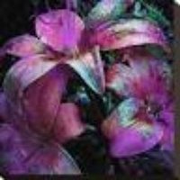 GardensofIreland (@irelandsgardens) 's Twitter Profile