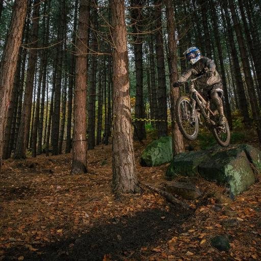 darrenmccall78's profile picture. love to mtb with my wife and two crazy setter dogs