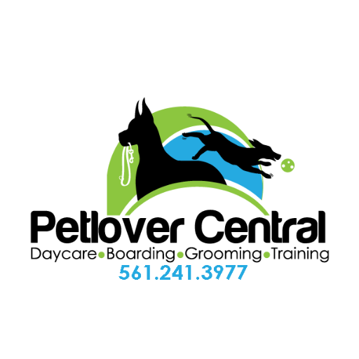 Boca Raton Doggy Daycare and Boarding