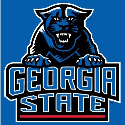 VoteGState's profile picture. Getting the Georgia State Campus to become more informed voters.