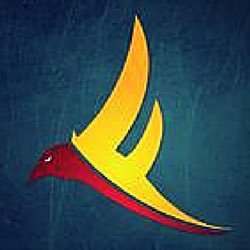 OᑎᒪY TᕼE ᗷEᔕT TᖇIᑕKᔕᕼOTᔕ!|65 thousand + network views| Follow us on Instagram!