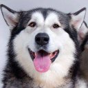 efren manuel becerra - @freddymanuel452 - Twitter