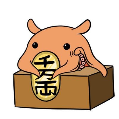 0211Racco's profile picture. 見る専です。なんでも。