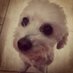 Catherine Finn (@msfinnsclass1) Twitter profile photo Catherine Finn (@msfinnsclass1) Twitter profile photo