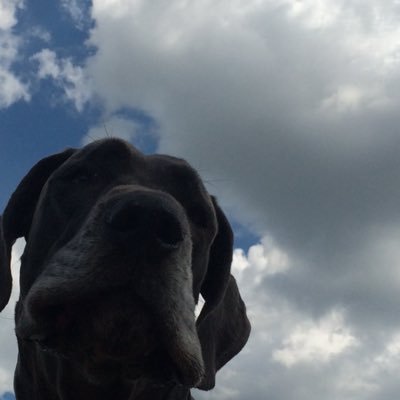 MayMay217's profile picture. 