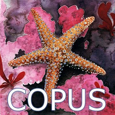Since 2006 COPUS has built community for science through promoting dialogue, building connections, and sharing ideas and resources.