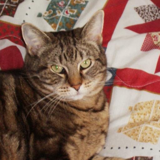 Huge Fan of the amazing Jonathan Antoine. My 2 cats comfort me through good and bad times. Love good food and kind people. Hate bad manners.