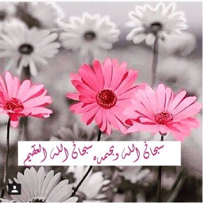 في يوم ما سنكون ذكرى ..ملامح ...صور ف ياارب لا تاخذنا من الدنيا الا وانت راض عنا واجعل اخر كلامنا لا اله الا الله محمد رسول الله