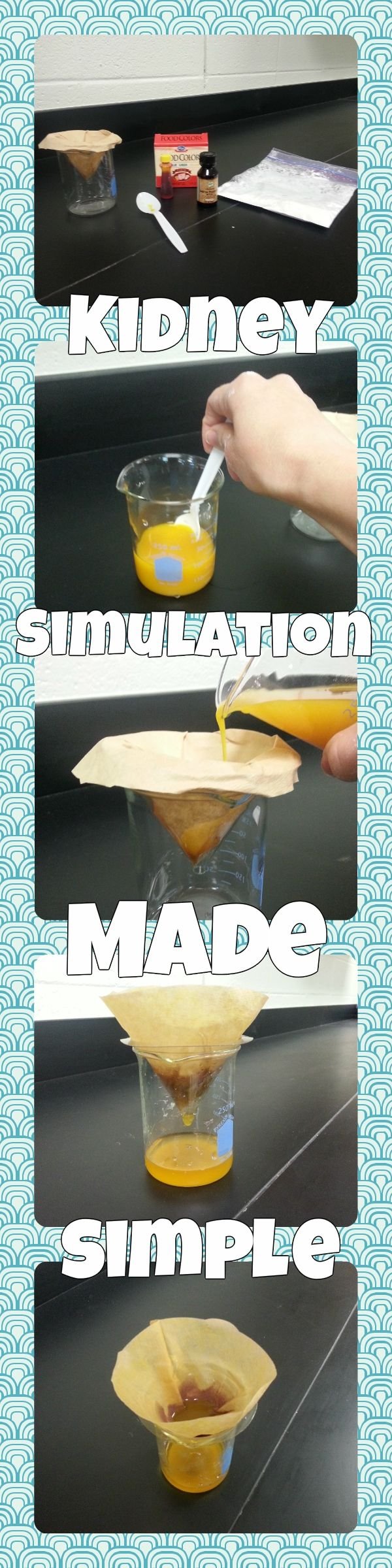 bufudib's profile picture. Stocktwits, Wallstrip, Hedge Fund Manager, Social Leverage, Carbs...Californian these days