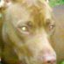 KarmaKool (@belovesadam) Twitter profile photo KarmaKool (@belovesadam) Twitter profile photo