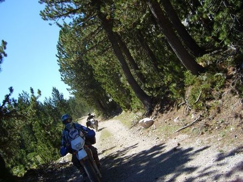 motorbikeventur's profile picture. See the beauty of Europe by motorcycle! Not only do we love to ride, we love helping other motorcyclists make their dreams come true!