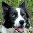 Danielle Darnell - @hooahsmom - Twitter