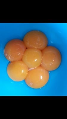 ktmr6624's profile picture. 