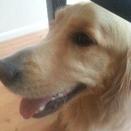 yuanchicai's profile picture. 1