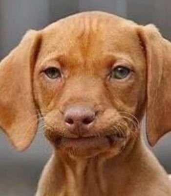 Rustyjoey's profile picture. 