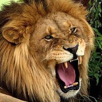 moji live life (@shadilal5) 's Twitter Profile