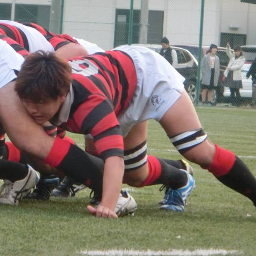 left_flanker's profile picture. 高校からラグビーやってます大学生です。ポジションは左フランカーです。残念ながら今大人気の五郎丸さんみたいにかっこいいポジションじゃないですがww、お肉が大好きです。応援してください。