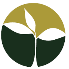 CED_IIF's profile picture. Center for Economic Development & Social Change:  Centro di #ricerca sui temi dello #sviluppoeconomicosostenibile.