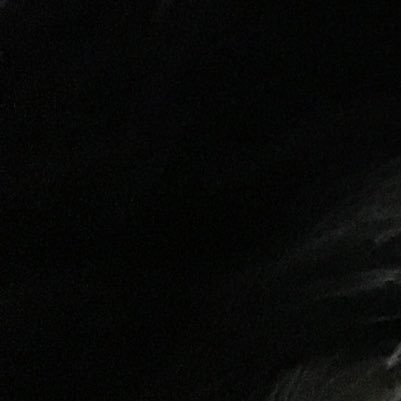 new_peko's profile picture. 