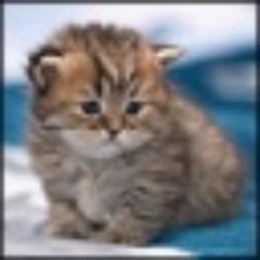 «Северная Корея объявила об успешном выводе спутника на орбиту». Эта новость должна начинаться со слова «Даже…».